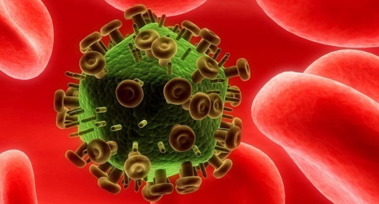При помощи генной инженерии удалось ликвидировать ВИЧ у животных